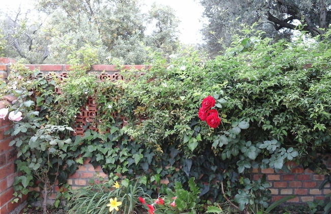 Il Giardino sul Mare - Foto 45