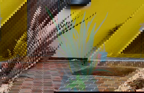 Casa Tortuga En Cancún - Photo 9