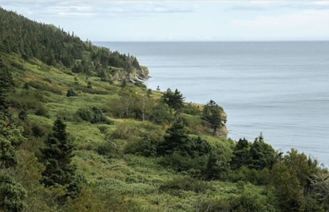 Chalets Nautika - Photo 34