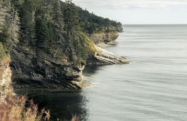 Chalets Nautika - Photo 35