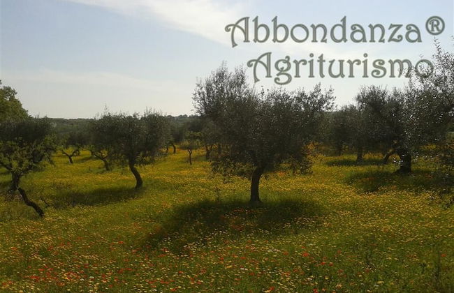 Room in Farmhouse - Agriturismo Abbondanza® - Foto 29