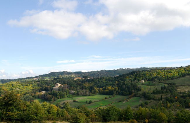 Agriturismo La Piaggia Vivo D'orcia - "once Upon a Time" Apartment - 3 Guests - Foto 5