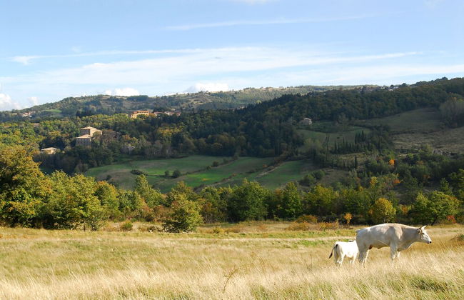 Agriturismo La Piaggia Vivo D'orcia - "once Upon a Time" Apartment - 3 Guests - Foto 12