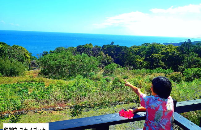 Yakushima Cottage Morino Fairy - Foto 13