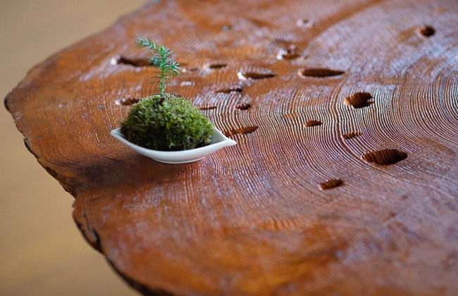 Yakushima Cottage Morino Fairy - Foto 28