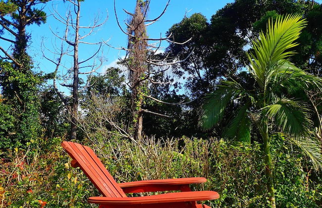 Yakushima Cottage Morino Fairy - Foto 16