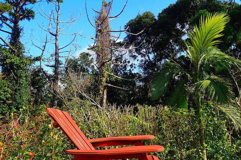 Photo 16 - Yakushima Cottage Morino Fairy