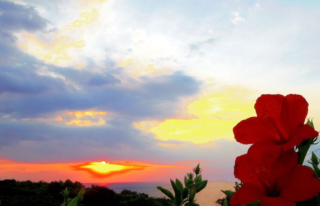 Yakushima Cottage Morino Fairy - Foto 39