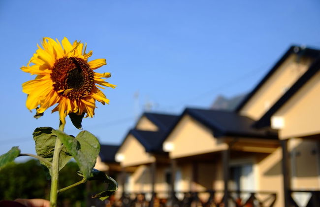 Yakushima Cottage Morino Fairy - Foto 29