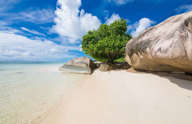 Dar and Douce - Foto 30