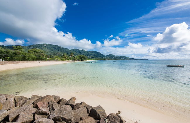 Dar and Douce - Foto 29