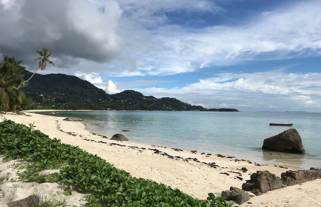 Dar and Douce - Foto 28