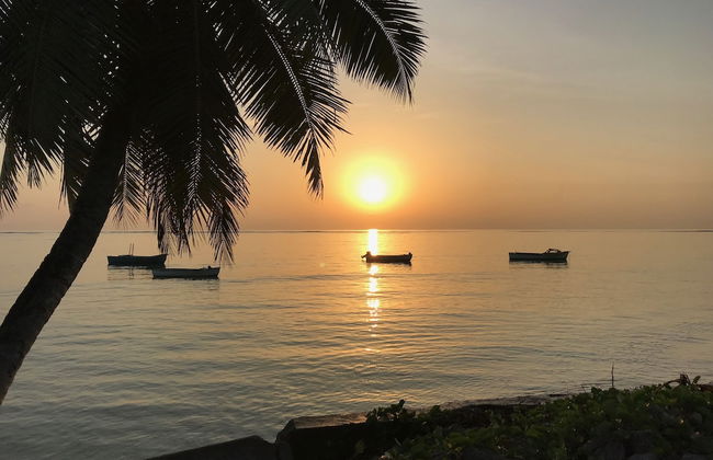 Dar and Douce - Foto 27