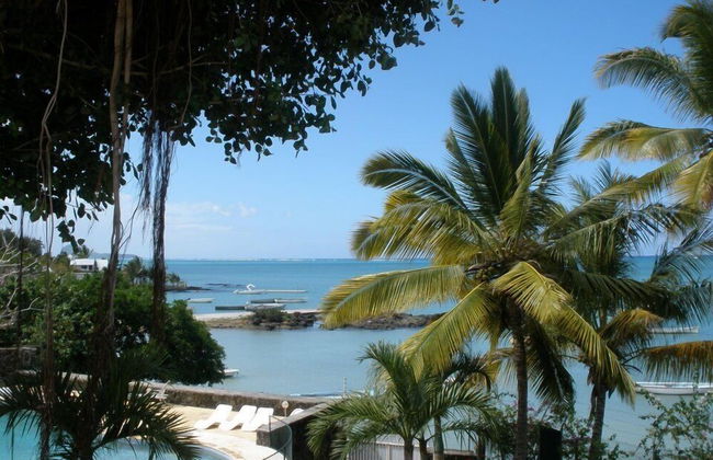 Villas Banyan - Photo 47