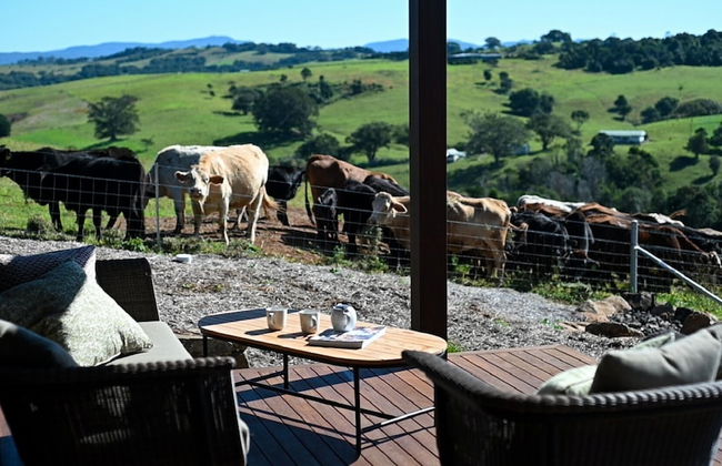 Your Luxury Escape - Carinya Cottage 2 - Photo 12