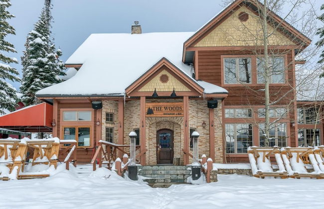 I Spy - Cozy Pet Friendly, Ski In/Ski Out Condo with Private Hot Tub - Foto 42