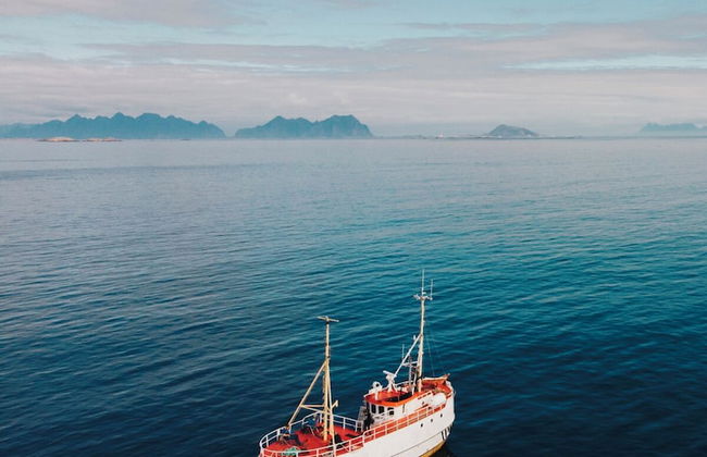 Lofoten Apartments - Foto 58