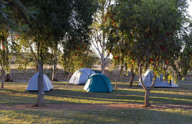 Discovery Parks - Alice Springs - Foto 76