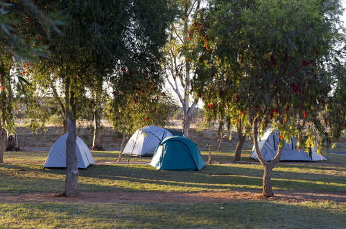 Foto 66 - Discovery Parks - Alice Springs