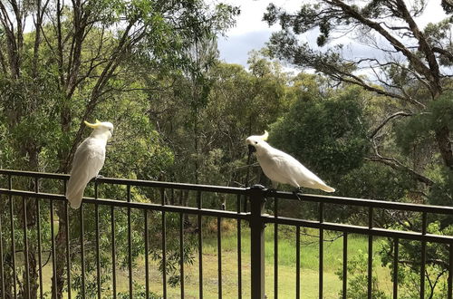 Photo 18 - Kookaburra Retreat