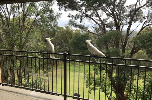 Photo 12 - Kookaburra Retreat