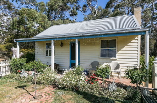 Photo 13 - Freshwater Creek Cottages and Farm Stay