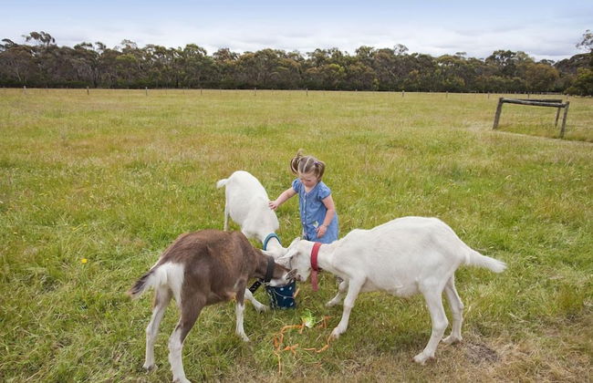 Freshwater Creek Cottages and Farm Stay - Foto 66