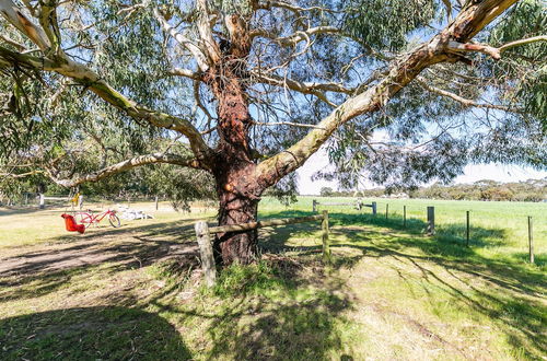 Photo 64 - Freshwater Creek Cottages and Farm Stay