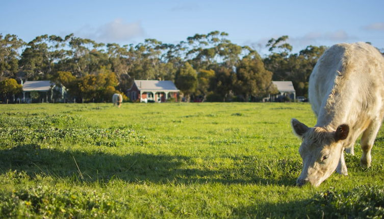 Photo 1 - Freshwater Creek Cottages and Farm Stay