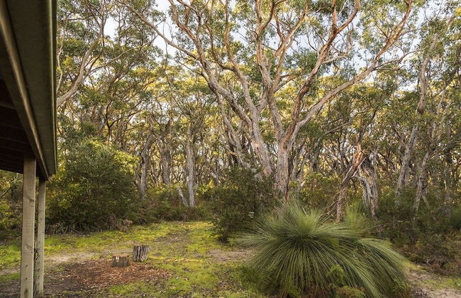 Cape Otway Cottages - Foto 25