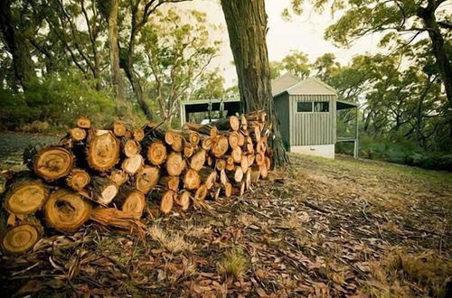 Foto 32 - Cape Otway Cottages