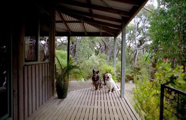 Cape Otway Cottages - Photo 31