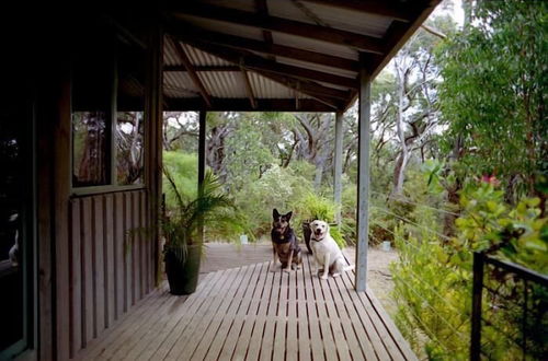 Foto 31 - Cape Otway Cottages