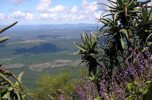 Photo 73 - Amanzimloti Riverside Bush Camp