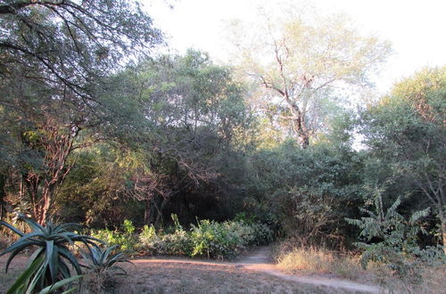 Photo 35 - Amanzimloti Riverside Bush Camp