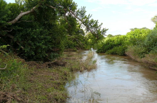 Photo 58 - Amanzimloti Riverside Bush Camp