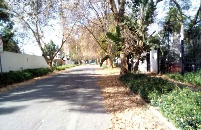 Rosebank Accommodation - Foto 58