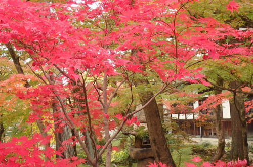 Photo 74 - Kyo no Yado Nishioji inn