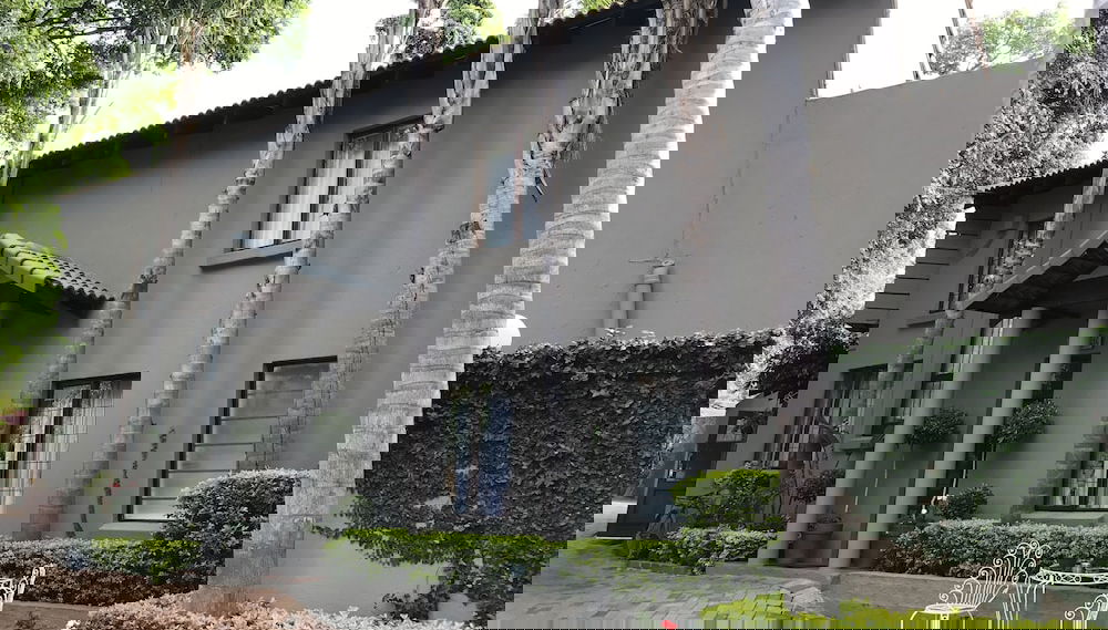 Imagem principal