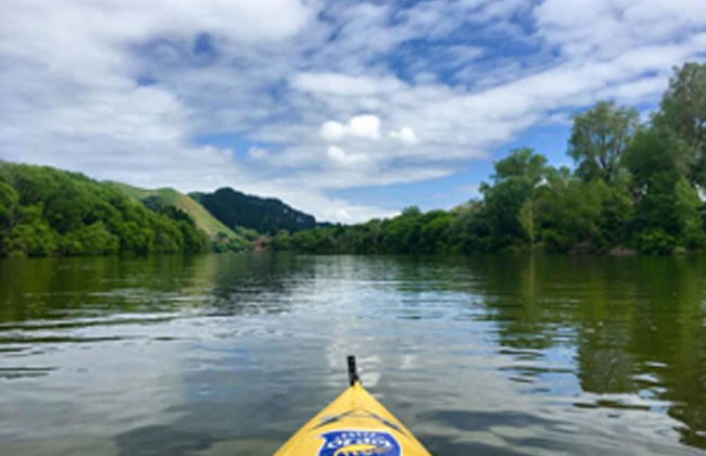 Whanganui River Top 10 Holiday Park - Foto 61