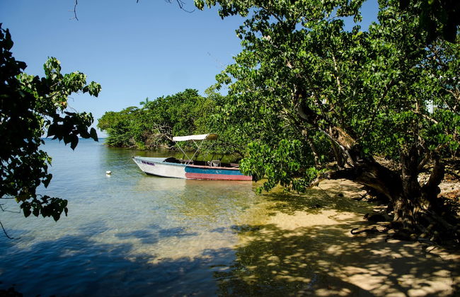 Seas the Day Sanctuary Little Bay - Foto 26