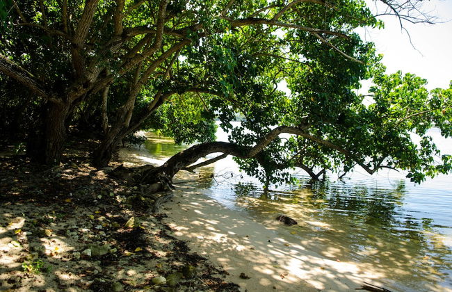 Seas the Day Sanctuary Little Bay - Foto 28