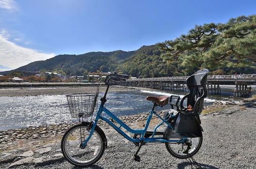 Photo 21 - GuestHouse SagaArashiyama