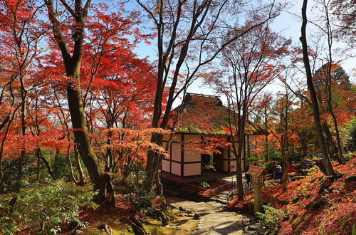 Photo 20 - GuestHouse SagaArashiyama