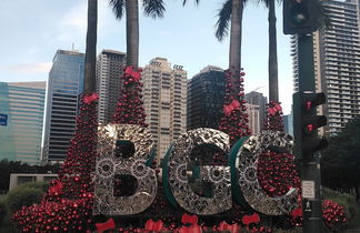 Photo 1 - Forbes Park Area BGC