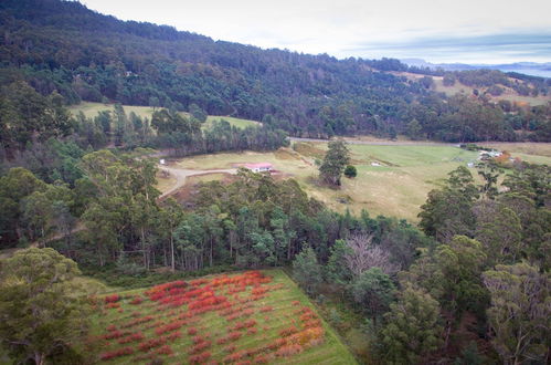 Photo 23 - Mountain Blue Guest Accommodation