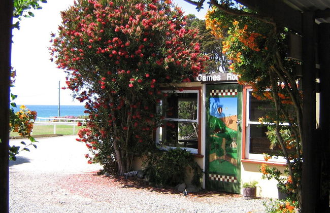 King Island Accommodation Cottages - Foto 29