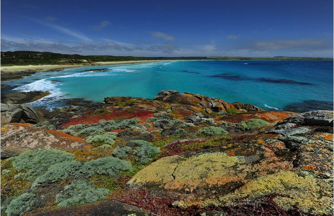 King Island Accommodation Cottages - Foto 41