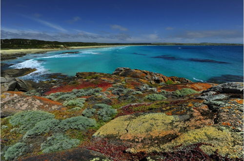 Foto 41 - King Island Accommodation Cottages