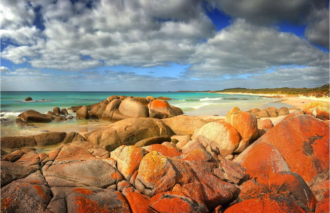 King Island Accommodation Cottages - Foto 40